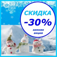 Новогодняя зимняя акция - скидки до 30% Новогодняя зимняя акция - скидки до 30%